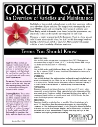 Caring for Orchids
