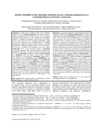 Genetic Variability of the Colombian Collection of Lulo (Solanum Quitoense Lam.) and Related Species of Section Lasiocarpa
