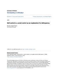 Self-Control Vs. Social Control As an Explanation for Delinquency
