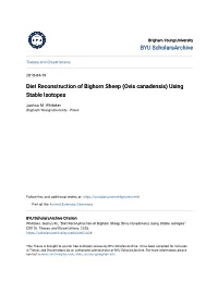 Diet Reconstruction of Bighorn Sheep (Ovis Canadensis) Using Stable Isotopes