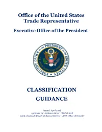 Classification Guidance