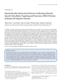 Intermolecular Interaction Between Anchoring Subunits Specify Subcellular Targeting and Function of RGS Proteins in Retina ON-Bipolar Neurons