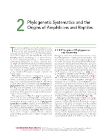 2Phylogenetic Systematics and the Origins of Amphibians and Reptiles