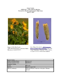 Draft Plant Propagation Protocol