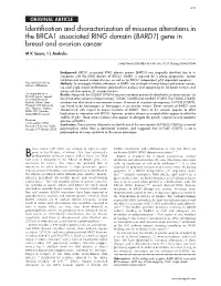 Identification and Characterization of Missense Alterations in the BRCA1