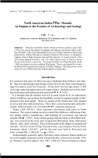 An Enigma at the Frontier of Archaeology and Geology