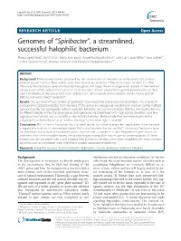 Genomes of “Spiribacter”, a Streamlined, Successful Halophilic