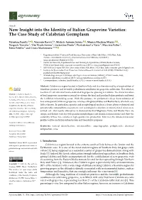 New Insight Into the Identity of Italian Grapevine Varieties: the Case Study of Calabrian Germplasm