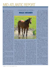 Magic Weisner