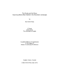 Thesis Final