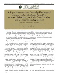 A Rapid Survey of the Critically Endangered