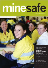 Minesafe Magazine for More Information on the Harmonisation Process