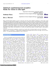 Optimum Spatiotemporal Receptive Fields for Vision in Dim Light