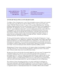 Six Dwarf Mugo-Pine Cultivars Released, Vol.1, Issue 12