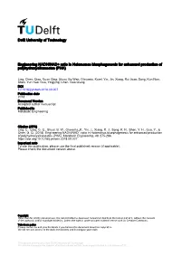 Engineering NADH/NAD+ Ratio in Halomonas Bluephagenesis for Enhanced Production of Polyhydroxyalkanoates (PHA)