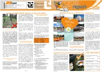 Losreport 02/2020