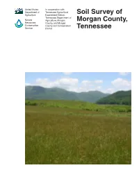 Soil Survey of Morgan County, Tennessee