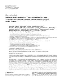 Isolation and Biochemical Characterization of a New Thrombin-Like Serine Protease from Bothrops Pirajai Snake Venom