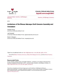 Limitations of the Rhesus Macaque Draft Genome Assembly and Annotation
