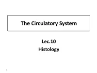The Circulatory System