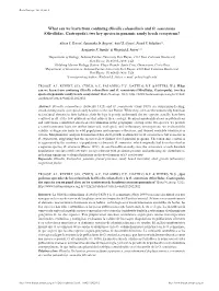 What Can We Learn from Confusing Olivella Columellaris and O