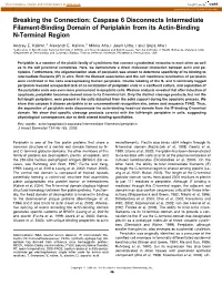 Caspase 6 Disconnects Intermediate Filament-Binding Domain of Periplakin from Its Actin-Binding N-Terminal Region