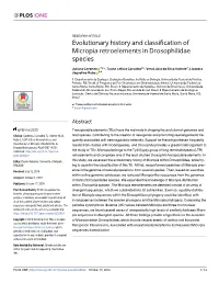 Evolutionary History and Classification of Micropia Retroelements in Drosophilidae Species