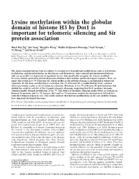 Lysine Methylation Within the Globular Domain of Histone H3 by Dot1 Is Important for Telomeric Silencing and Sir Protein Association