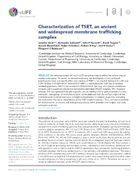 Characterization of TSET, an Ancient and Widespread Membrane