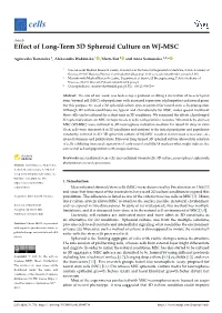 Effect of Long-Term 3D Spheroid Culture on WJ-MSC