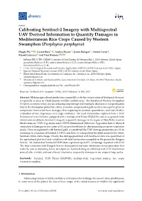 Calibrating Sentinel-2 Imagery with Multispectral UAV Derived