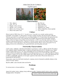 FIRECRACKER CUPHEA Cuphea Ignea Characteristics Culture Noteworthy Characteristics Problems Uses