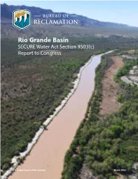 Rio Grande Basin SECURE Water Act Section 9503(C) Report to Congress