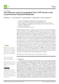 Fast Diffusion of the Unassembled Petc1-GFP Protein in the Cyanobacterial Thylakoid Membrane