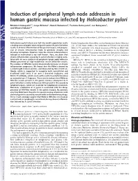 Induction of Peripheral Lymph Node Addressin in Human Gastric Mucosa Infected by Helicobacter Pylori