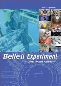 Belleⅱ Experiment ー Quest for New Physics ー Belle Ⅱ the Belleⅱ Experiment