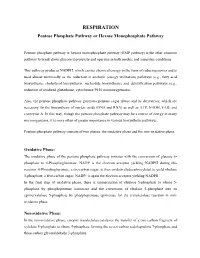 RESPIRATION Pentose Phosphate Pathway Or Hexose Monophosphate Pathway