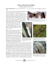 Western Pine Tussock Moth Eruptive Defoliator on Poor Sites