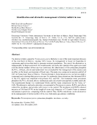 Identification and Alternative Management of Downy Mildew in Rose