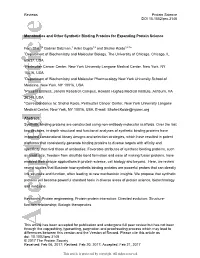 Monobodies and Other Synthetic Binding Proteins for Expanding Protein Science