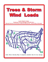 Storm Wind Loads on Trees Thought by the Author to Provide the Best Means for Considering Fundamental Tree Health Care Issues Surrounding Tree Biomechanics