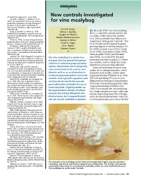 New Controls Investigated for Vine Mealybug