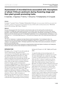 During Flowering Stage and Their Plant Growth Promoting Traits. D Sachdev, V Agarwal, P Verma, Y Shouche, P Dhakephalkar, B Chopade