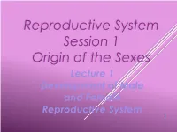 Germ Cells …… Do Not Appear …… Until the Sixth Week of Development