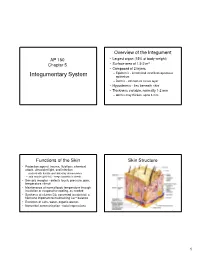 Integumentary System