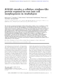 KOJAK Encodes a Cellulose Synthase-Like Protein Required for Root Hair Cell Morphogenesis in Arabidopsis