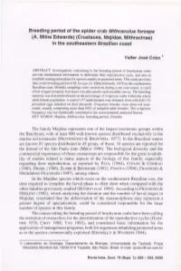Breeding Period of The.Spider Crab Mithraculus Forceps (A. Milne Edwards) (Crustacea, Majidae, Mithracinae) in the Southeastern Brazilian Coast