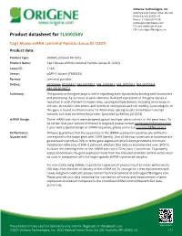 Cap1 Mouse Shrna Lentiviral Particle (Locus ID 12331) Product Data
