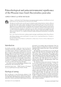 Palaeobiological and Palaeonvironmental Significance of the Pliocene Trace Fossil Dactyloidites Peniculus