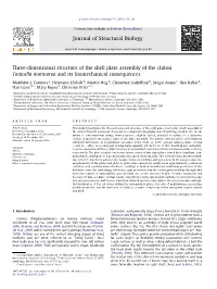 Three-Dimensional Structure of the Shell Plate Assembly of the Chiton Tonicella Marmorea and Its Biomechanical Consequences